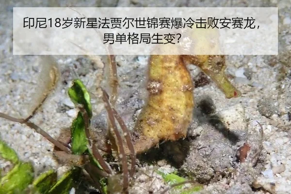 yin-ni-sui-xin-xing-fa-jia-er-shi-jin-sai-bao-leng-ji-bai-an-sai-long-nan-dan-ge-ju-sheng-bian-3-897.jpg
