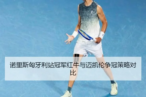 诺里斯匈牙利站冠军红牛与迈凯伦争冠策略对比