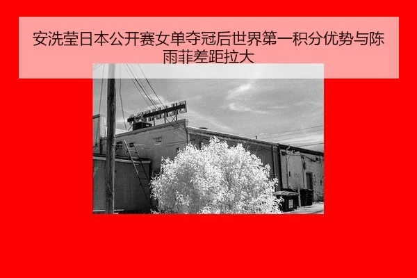an-xi-ying-ri-ben-gong-kai-sai-nv-dan-duo-guan-hou-shi-jie-di-yi-ji-fen-you-shi-yu-chen-yu-fei-cha-ju-la-da-3-483.jpg
